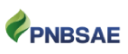 PNBSAE